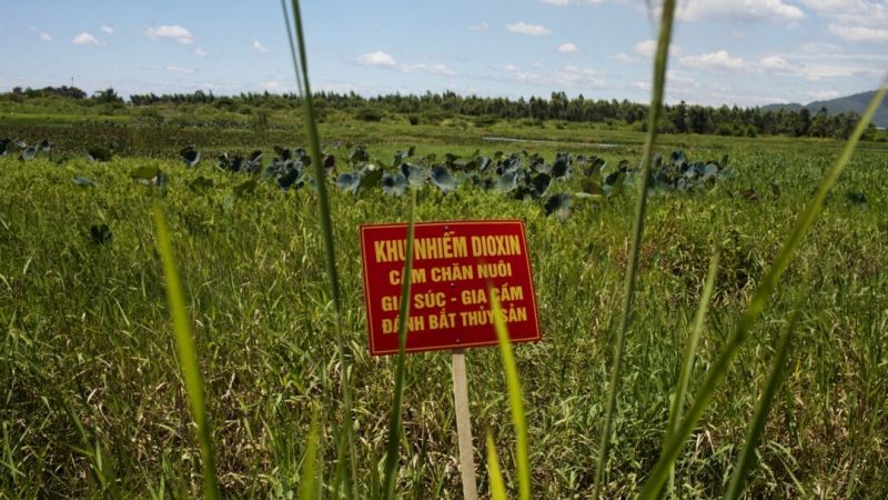 khu vực nhiễm độc